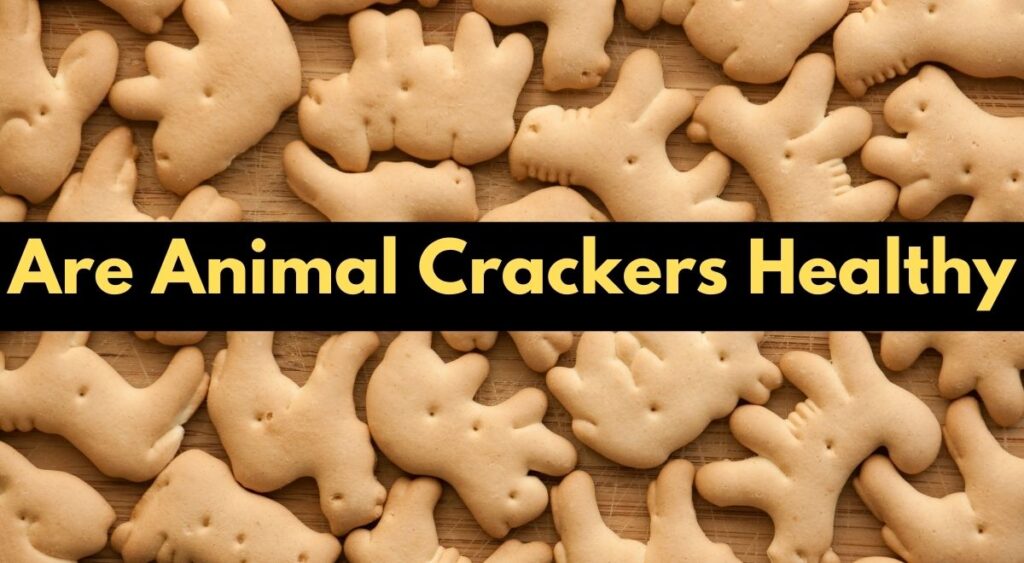 Introduction: Are Animal Crackers