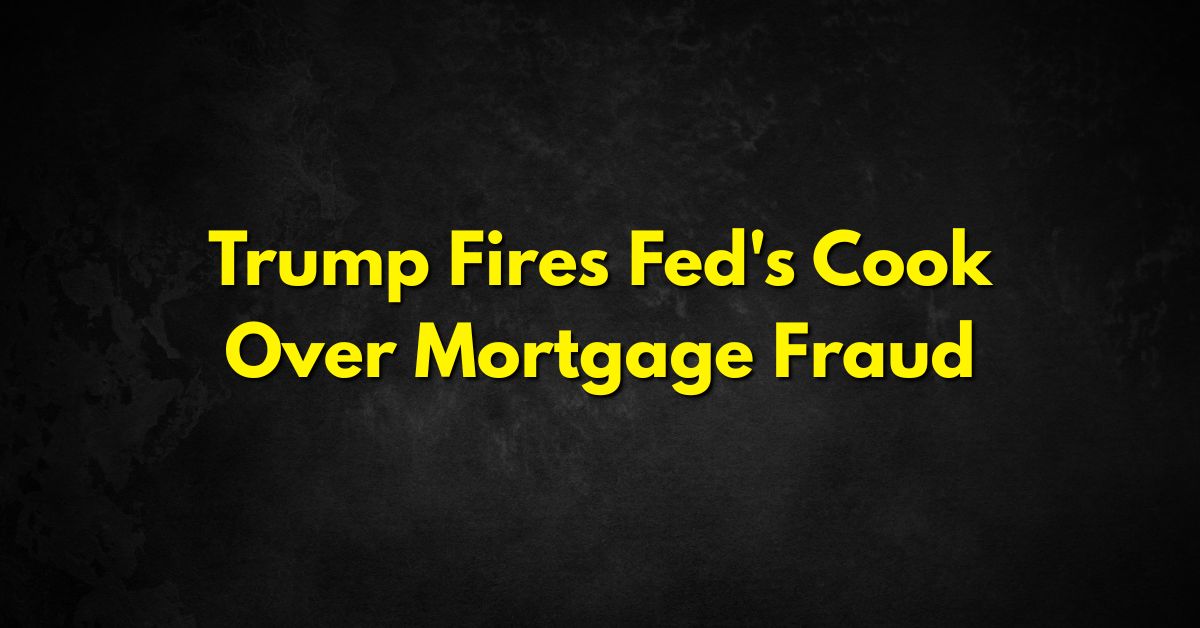 lisa cook mortgage fraud