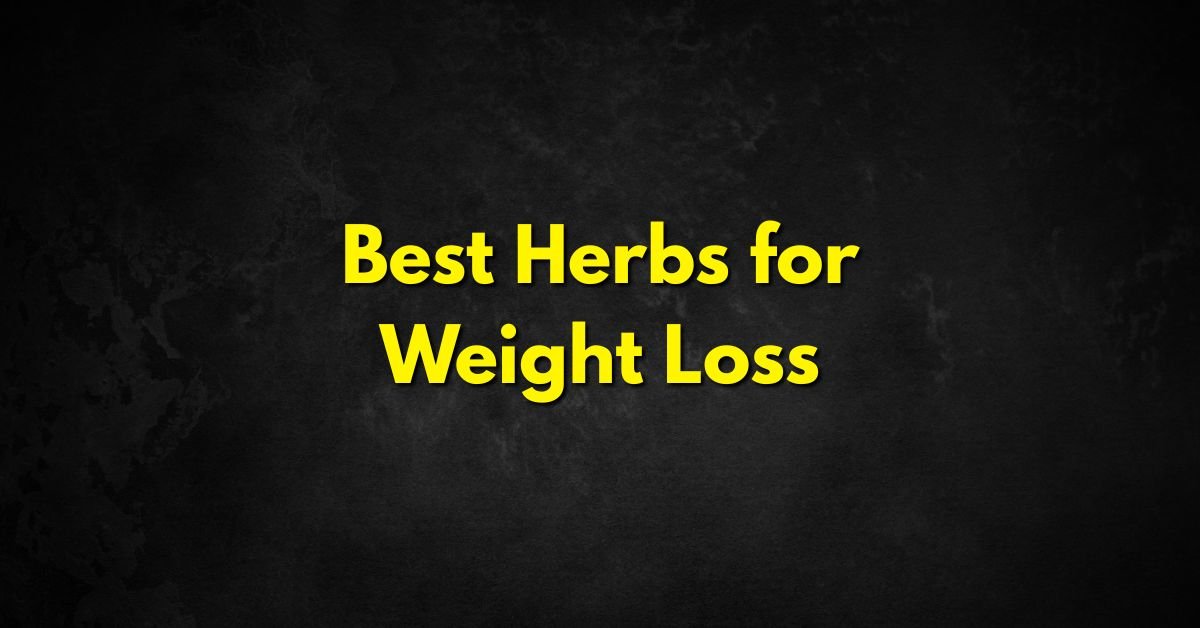 Best Herbs for Weight Loss