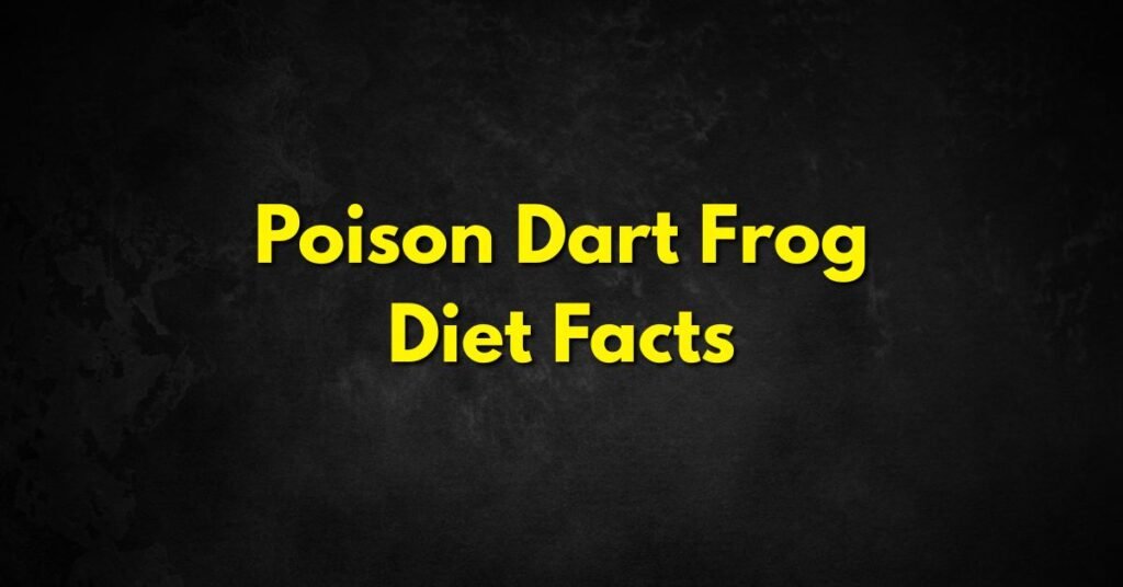 Poison Dart Frog Diet Facts