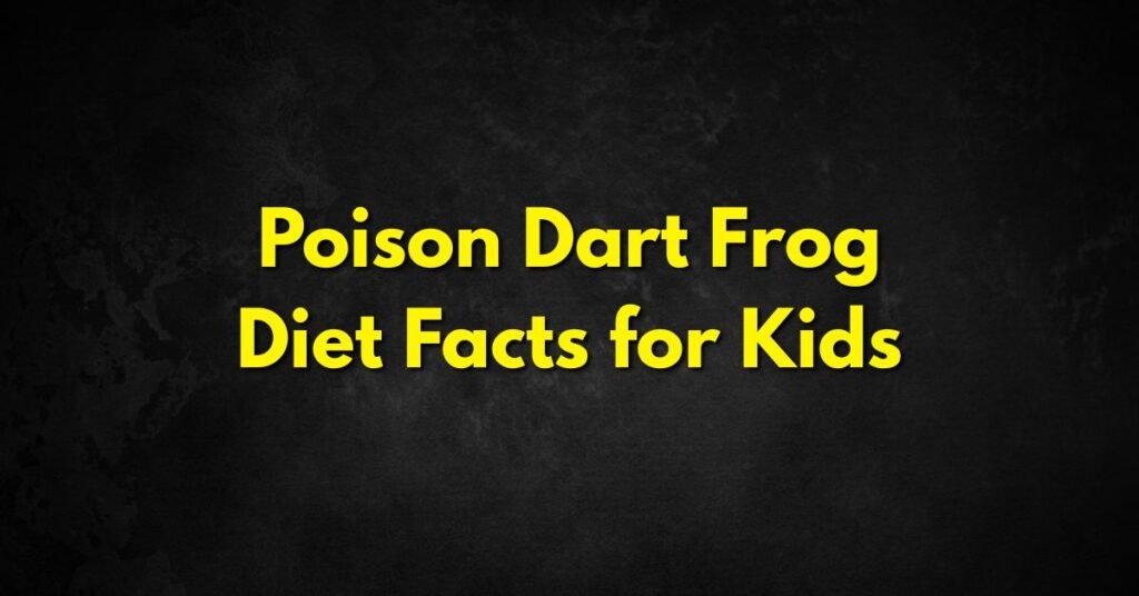 Poison Dart Frog Diet Facts for Kids