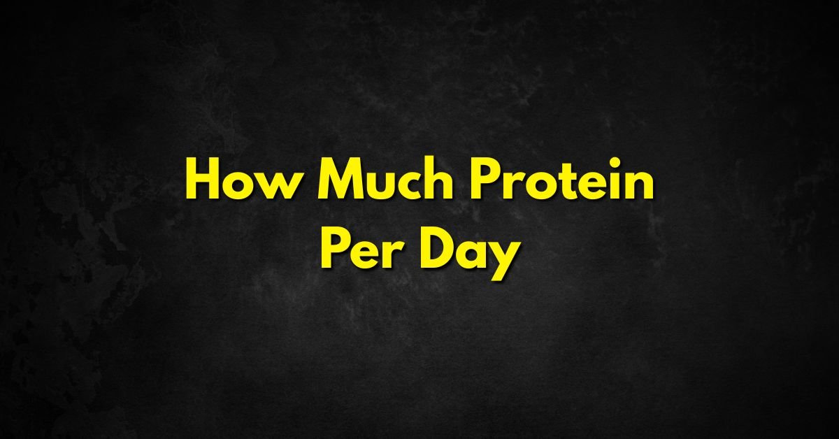 How Much Protein Per Day