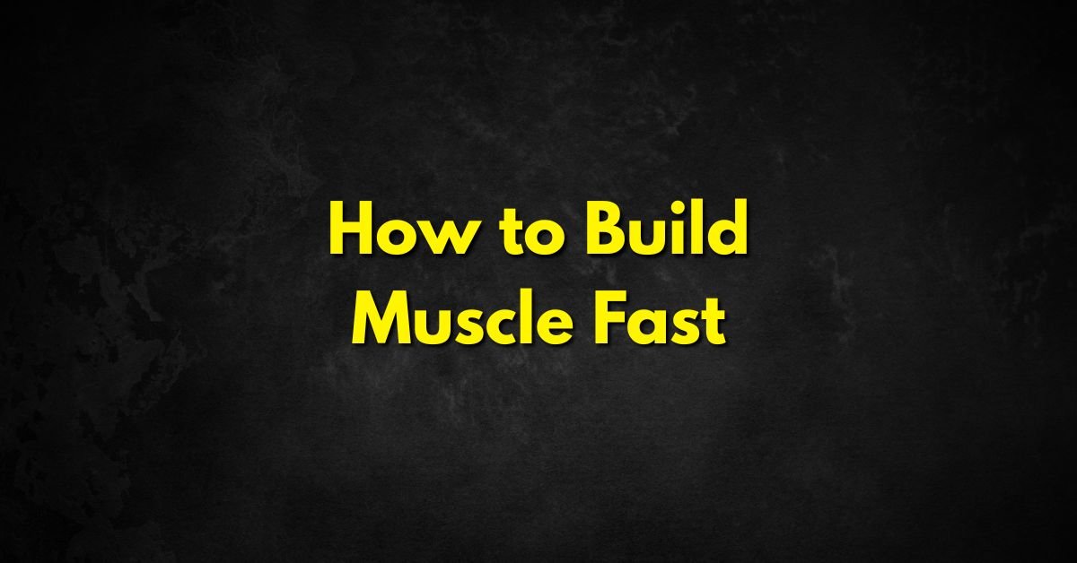 How to Build Muscle