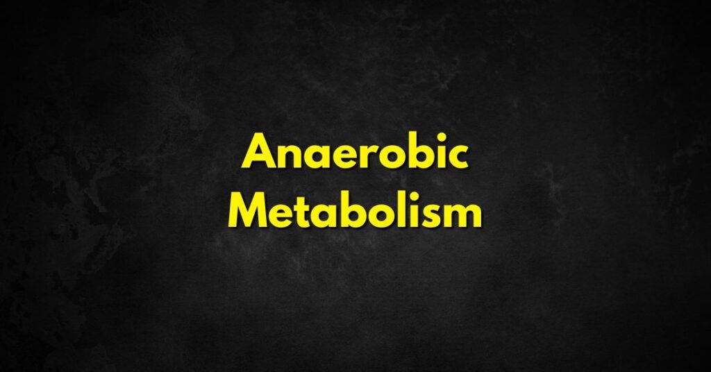 Anaerobic Metabolism