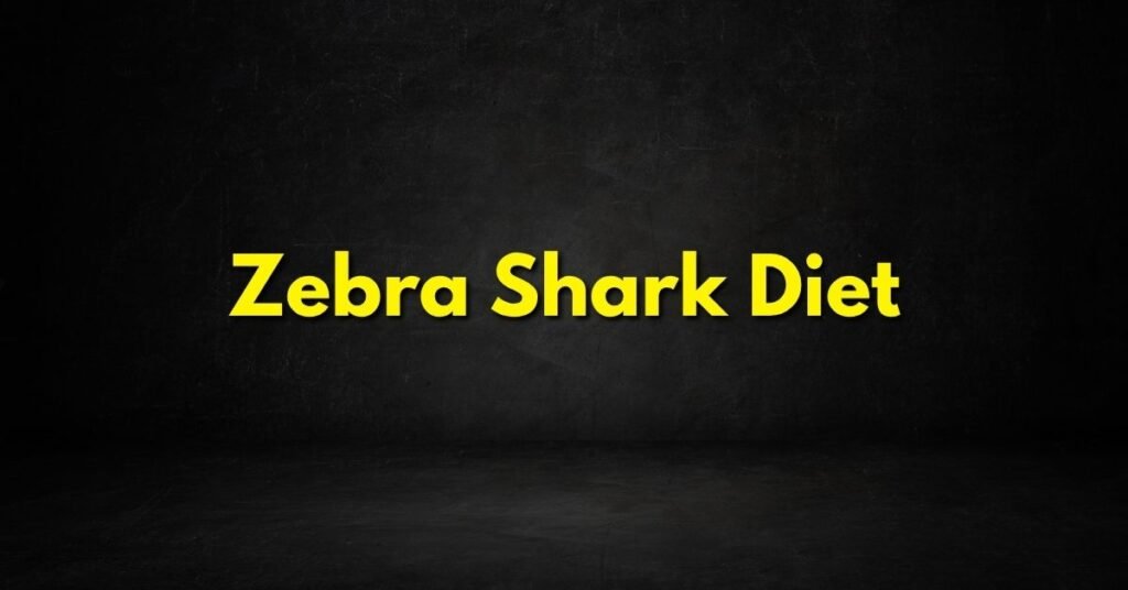 Zebra Shark Diet