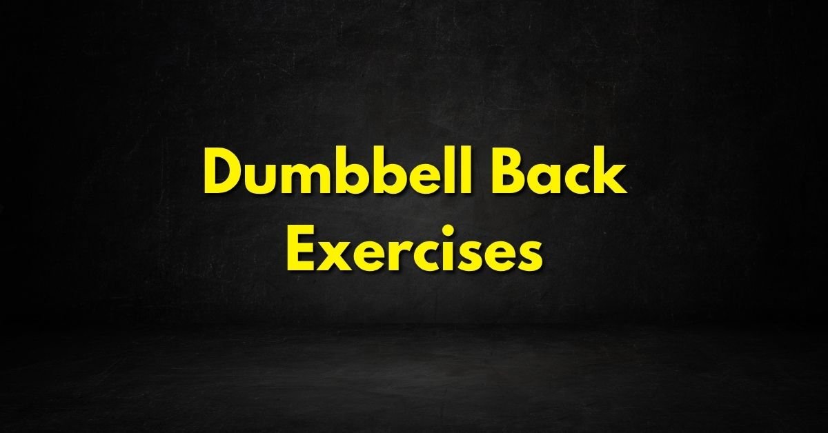 Dumbbell Back Exercises