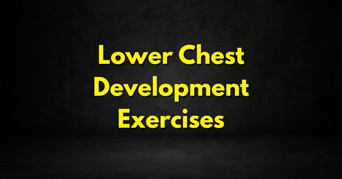 Lower Chest Development Exercises