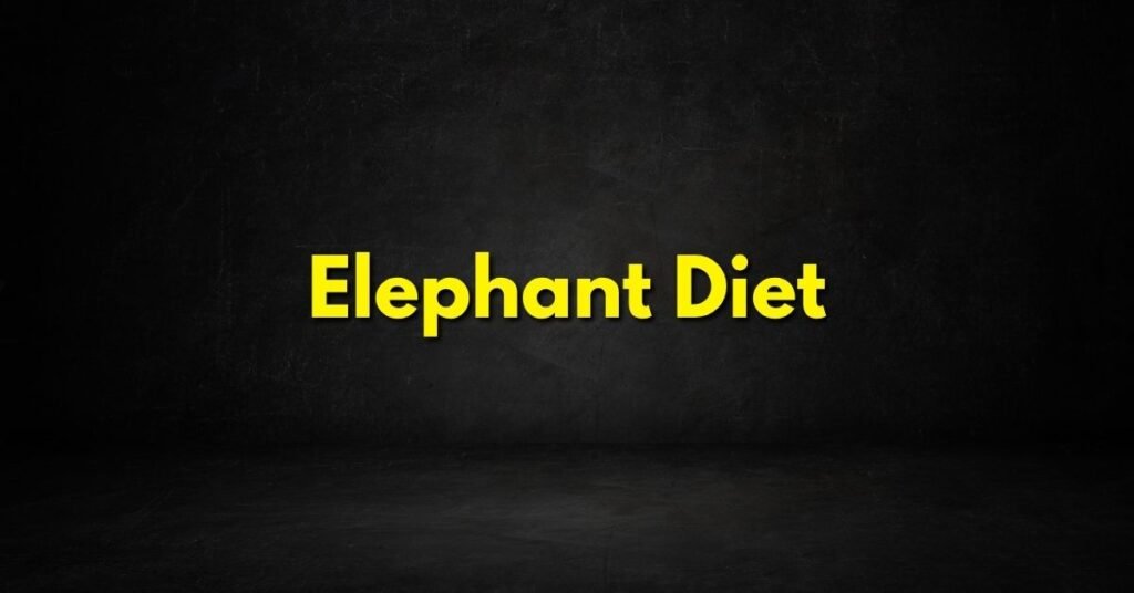 Elephant Diet