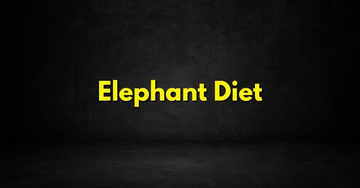 Elephant Diet