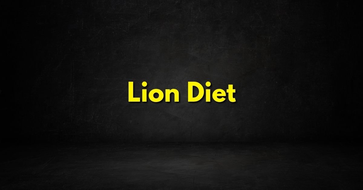 Lion Diet